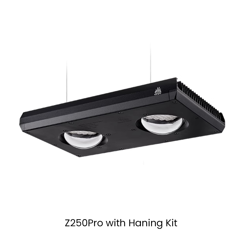 Aqua Marine Tank - Lampada LED per Acquario Week AQUA