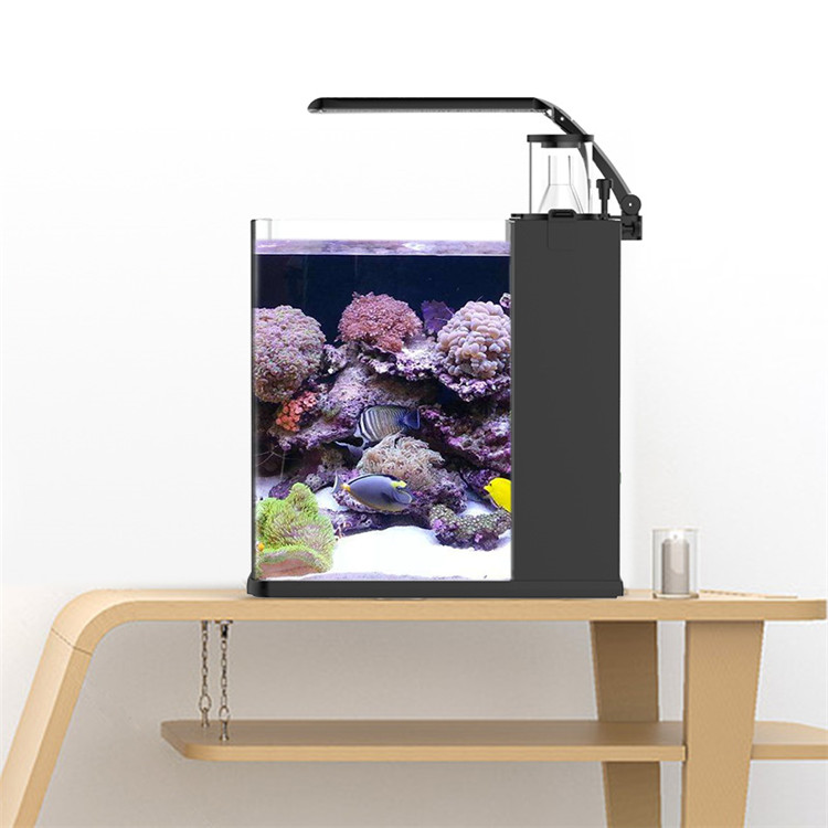 Marine Aquarium Cube - Skynuo Mini Acquario Marino in Vetro