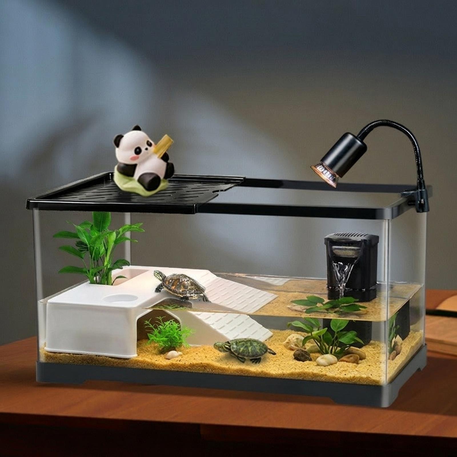 Aquarium Innovative Marine - Piattaforma di Riposo per Tartarughe, Terrazza