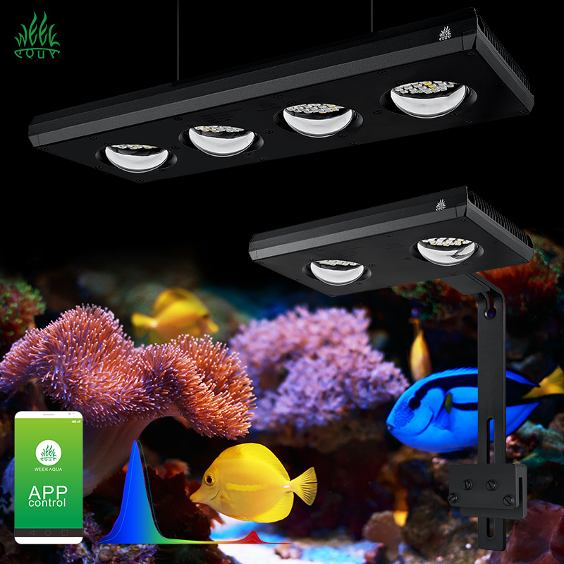 Aqua Marine Tank - Lampada LED per Acquario Week Aqua