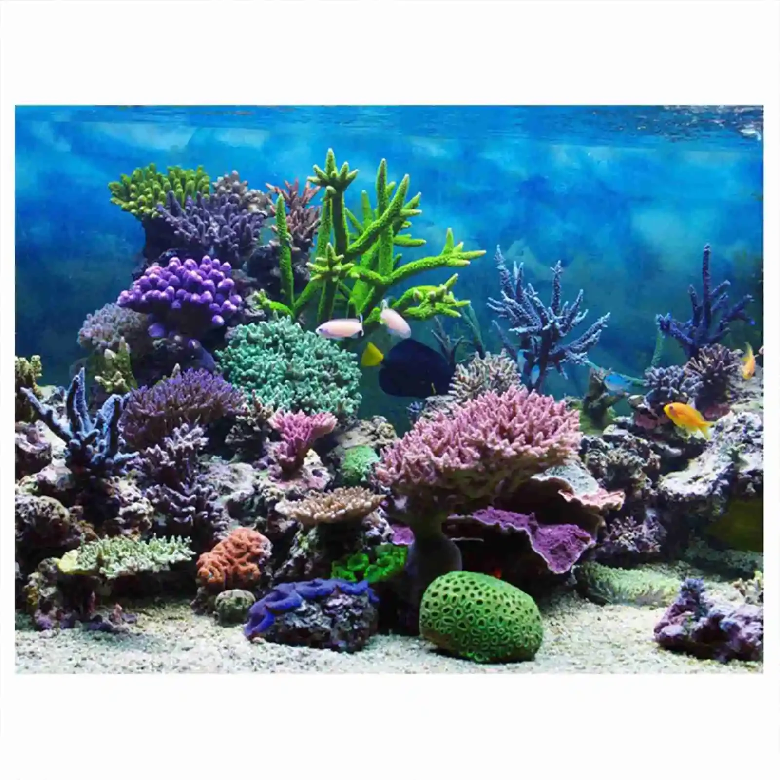 Marine Aquarium Glue - 3D acquario paesaggio Poster foresta pluviale
