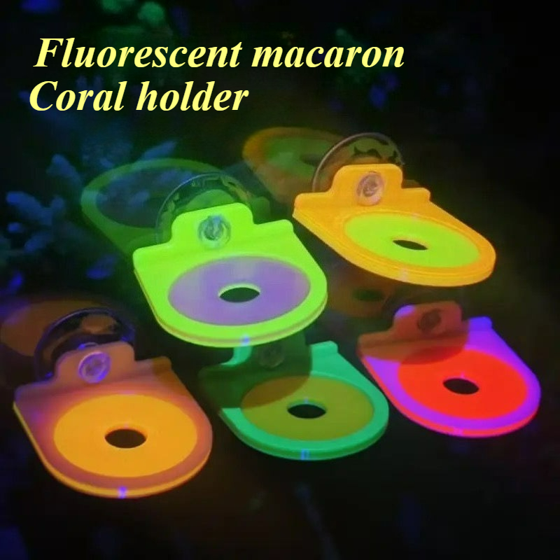Marine Aquarium Live - Colore casuale Coral Frag Holder Staffa