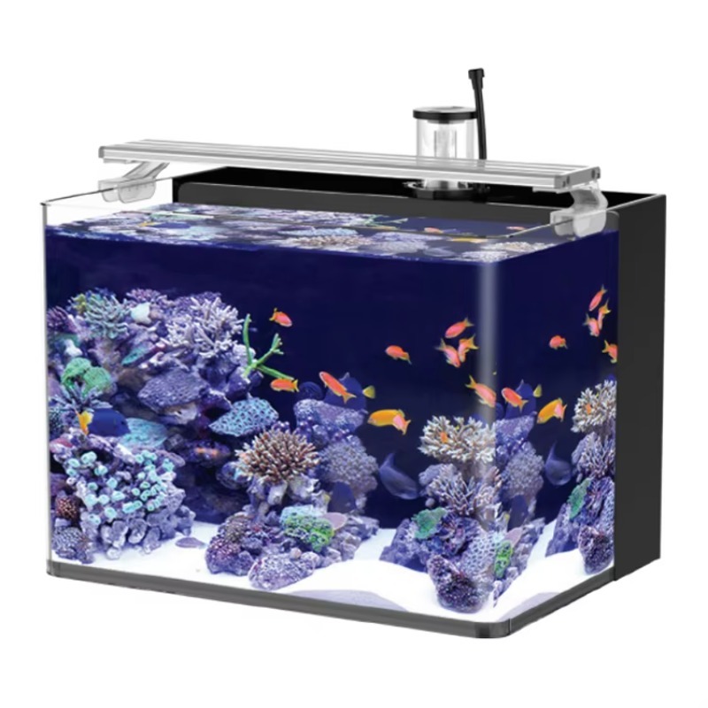 Marine Aquarium Live - Acquario da Tavolo Curvo per Pesci