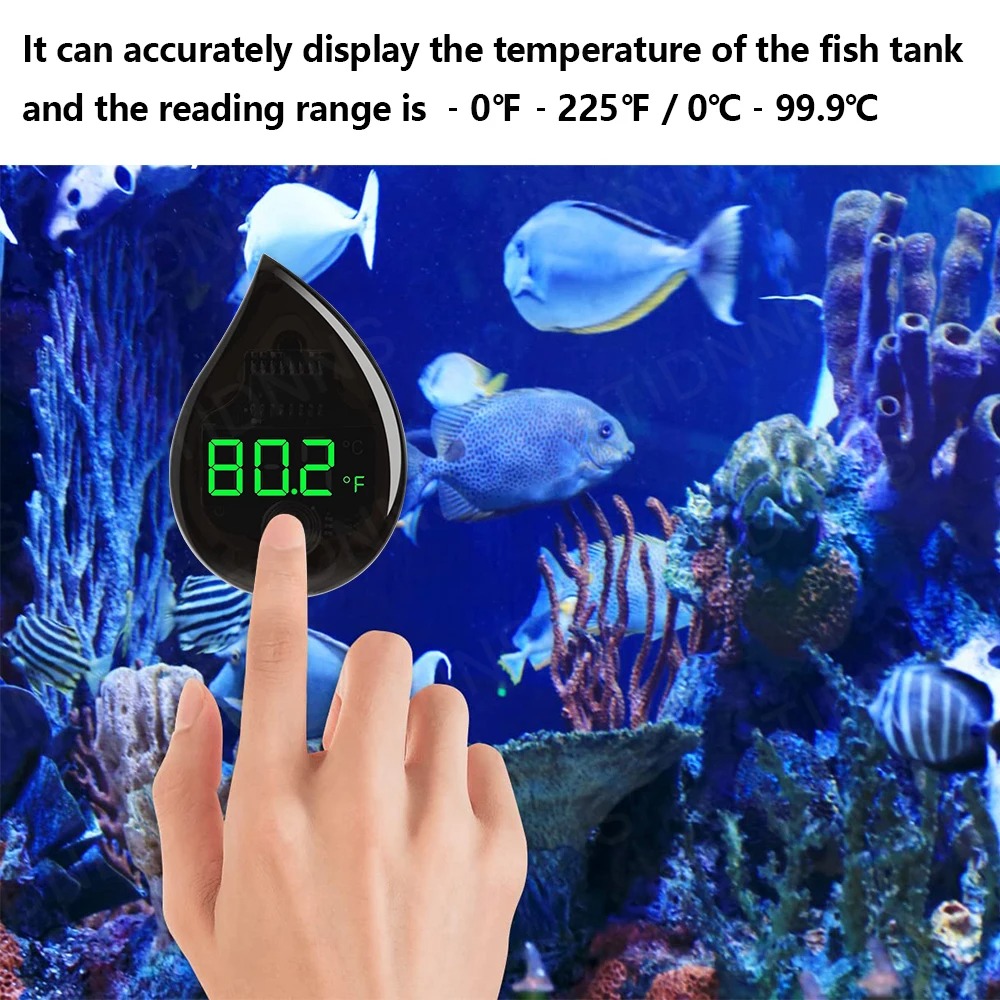 Termometro Digitale LCD Autoad - Marine Aquarium Glue recensione e prezzo