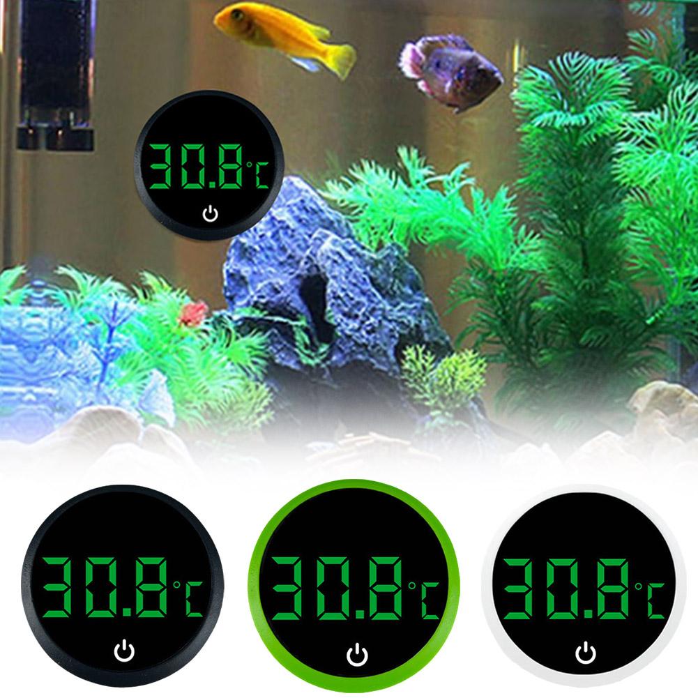 Termometro Digitale LCD Autoad - Marine Aquarium Glue recensione e prezzo