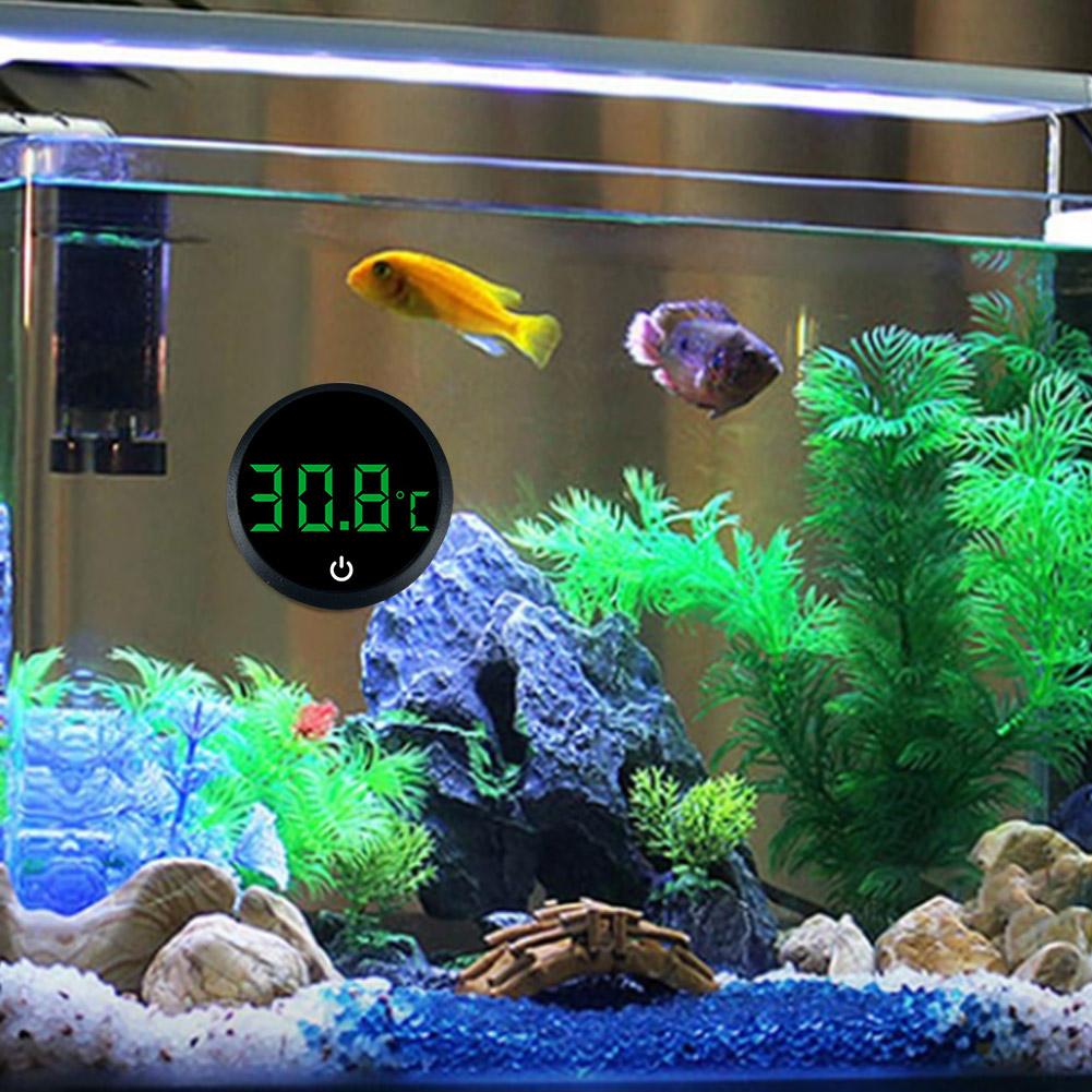 Termometro Digitale LCD Autoad - Marine Aquarium Glue recensione e prezzo