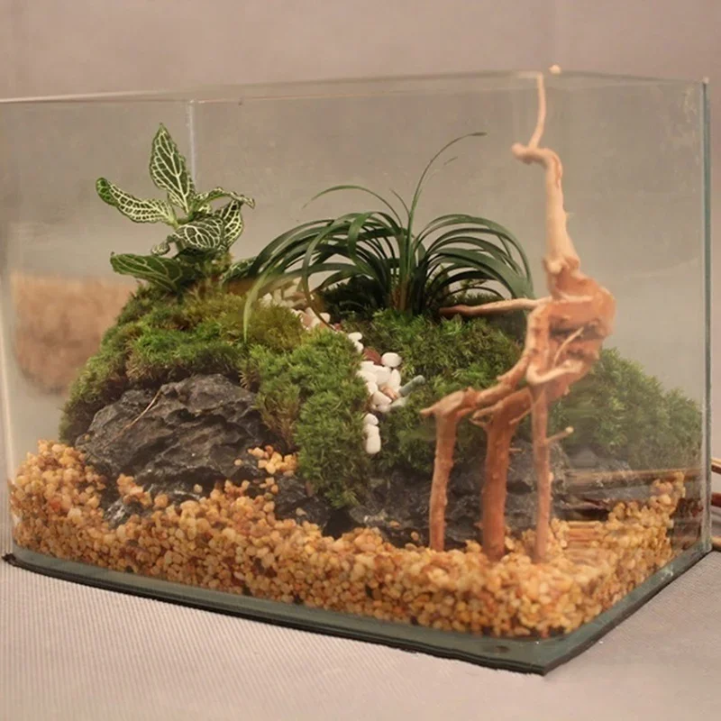Tronco d'albero naturale Drift - Aquarium Innovative Marine recensione e prezzo