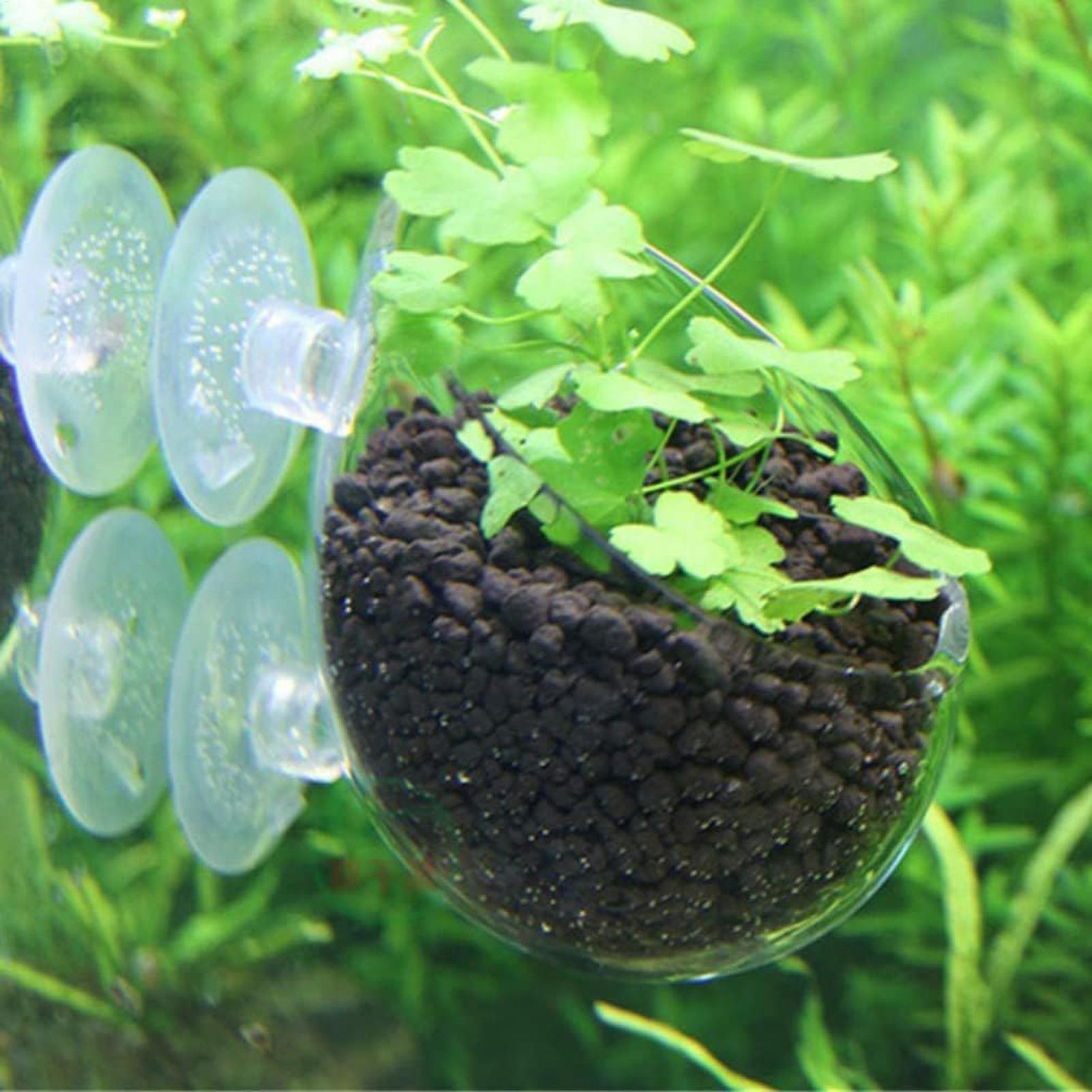 Supporto per Piante Acquatiche - Marine Aquarium Live recensione e prezzo