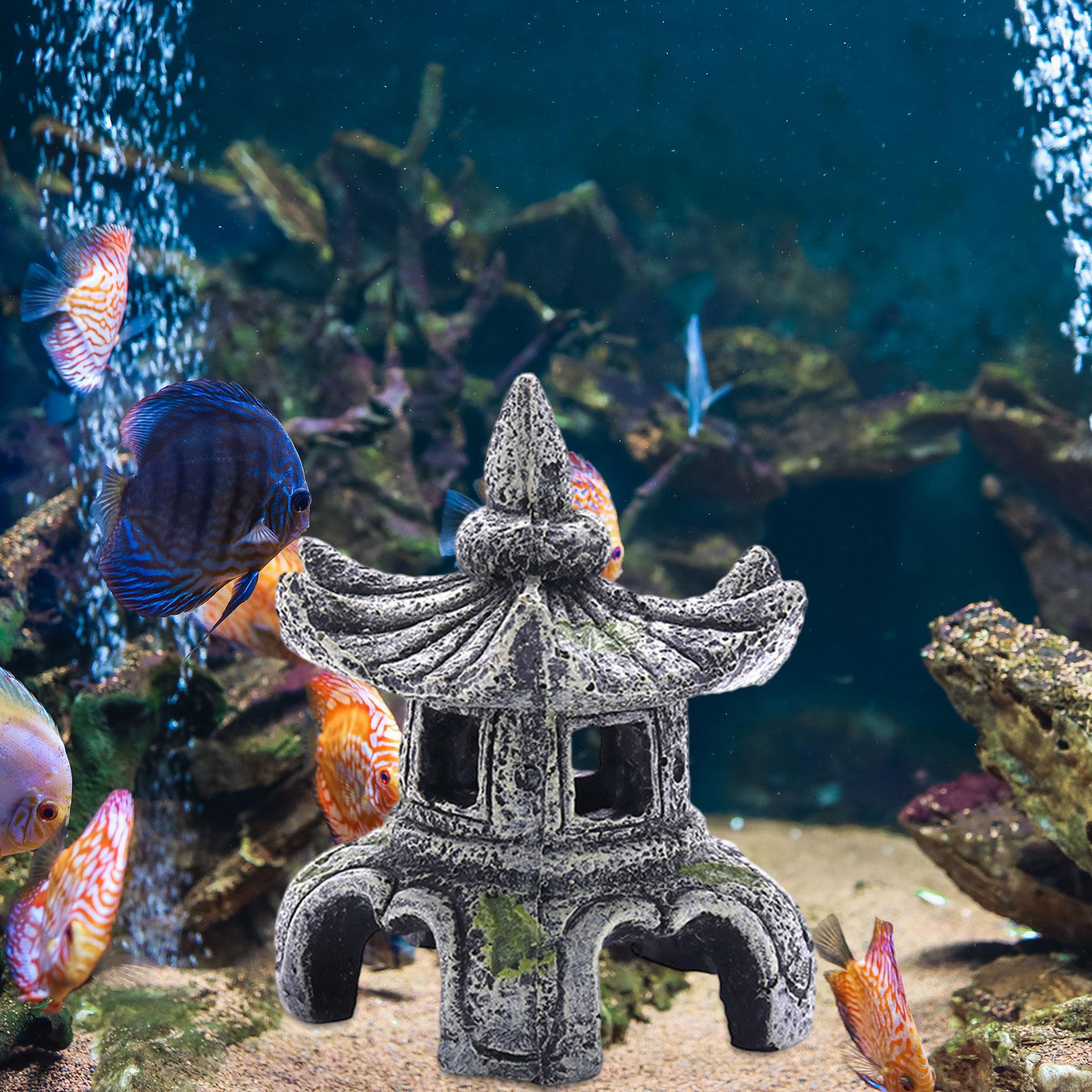 Ornamento per acquario Accesso - Aquarium Innovative Marine recensione e prezzo