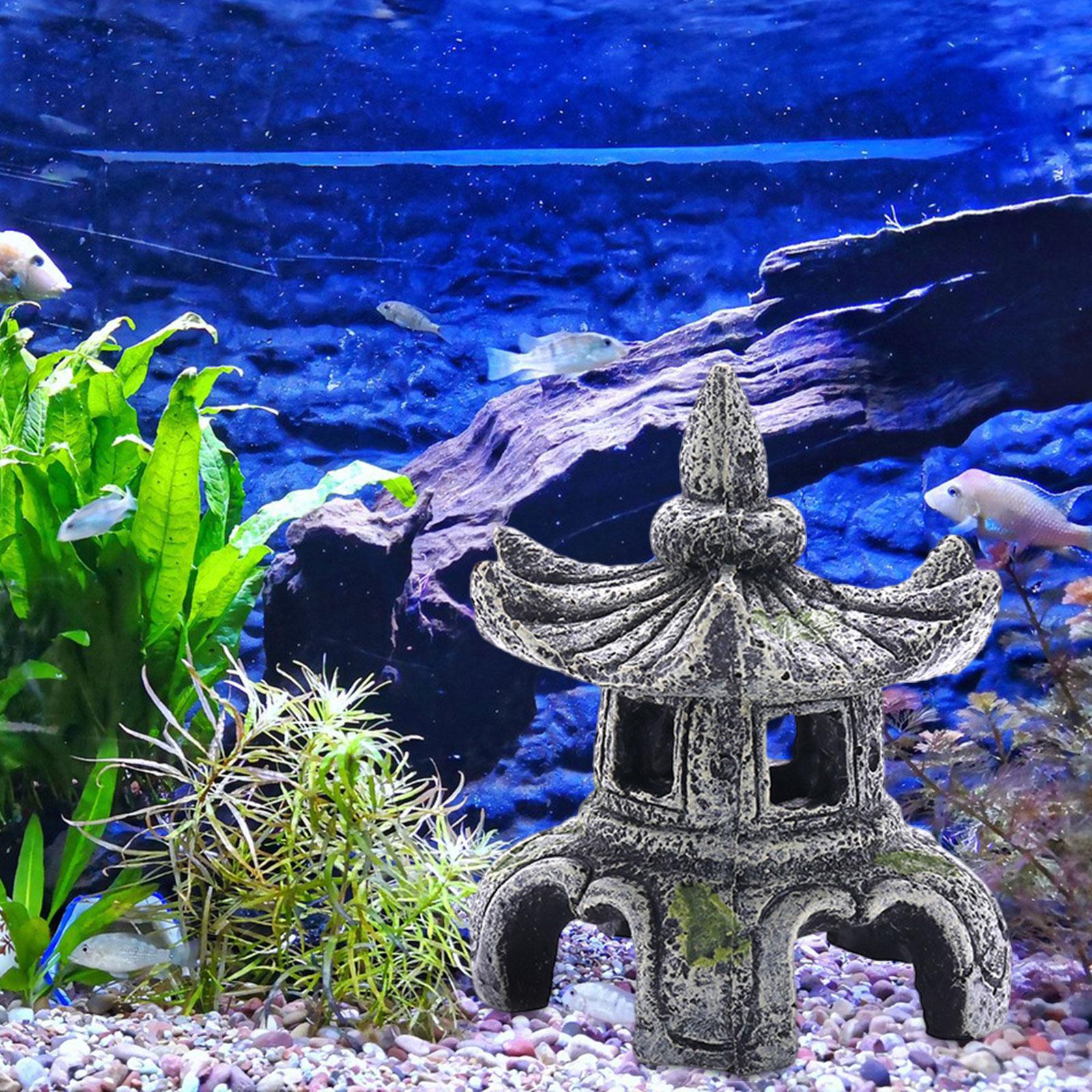 Ornamento per acquario Accesso - Aquarium Innovative Marine recensione e prezzo