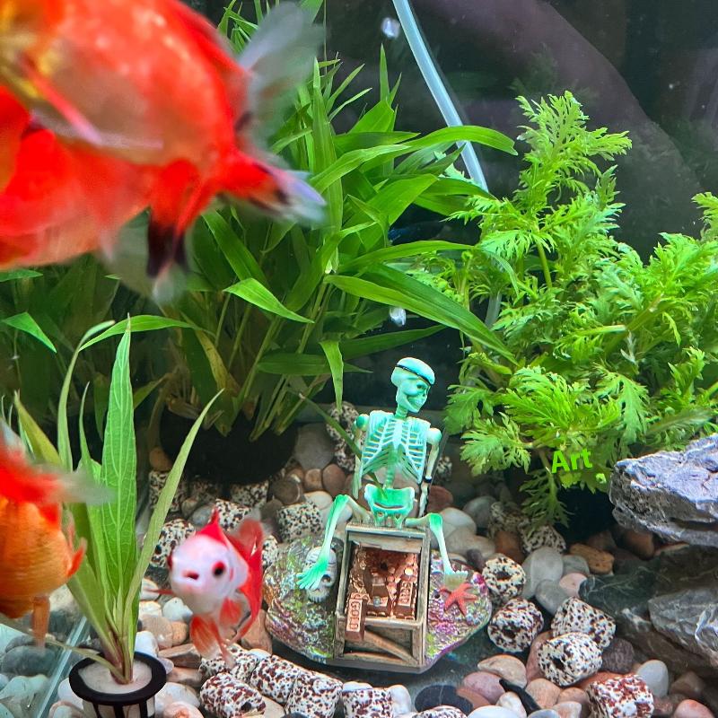 Acquario Aerobico Paesaggio Bu - Aquarium Innovative Marine recensione e prezzo