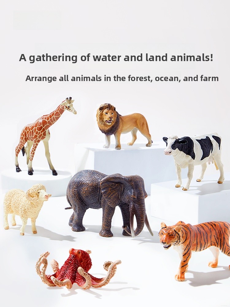 Set di Giocattoli Mideer con D - Marine Zoo recensione e prezzo