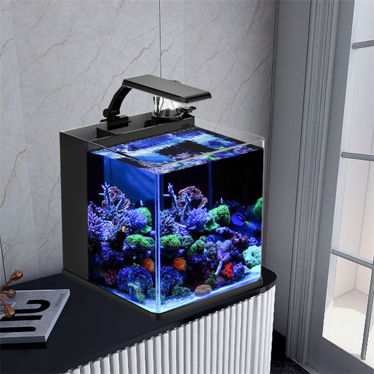 Skynuo Mini Acquario Marino in - Marine Aquarium Cube recensione e prezzo