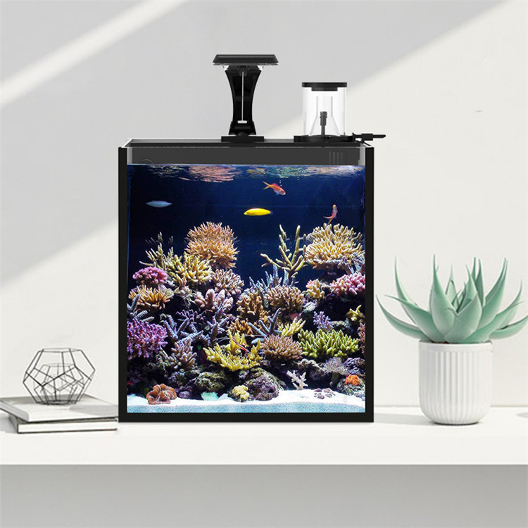 Skynuo Mini Acquario Marino in - Marine Aquarium Cube recensione e prezzo