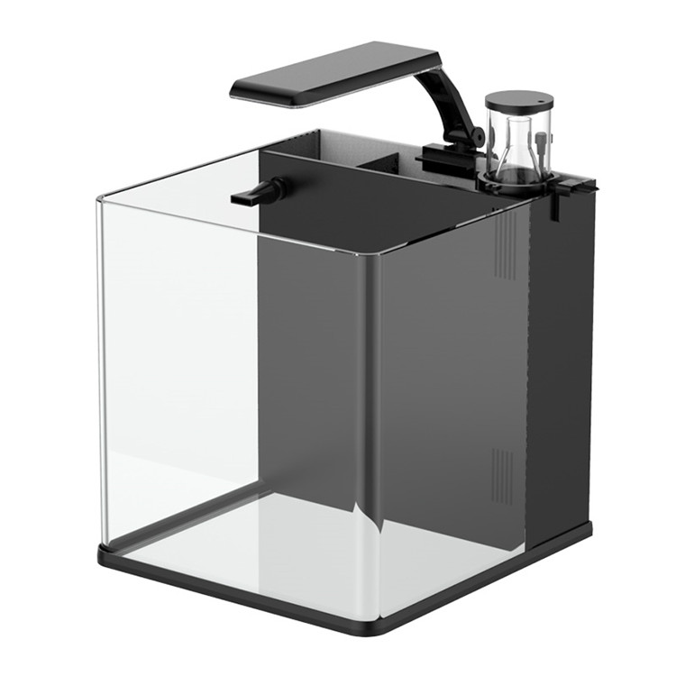 Skynuo Mini Acquario Marino in - Marine Aquarium Cube recensione e prezzo