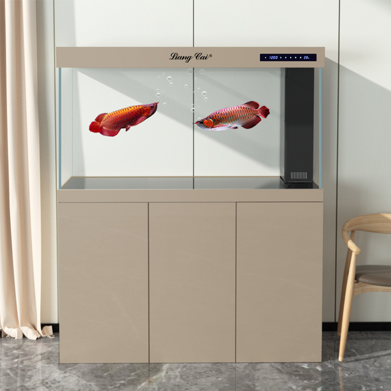 Acquario in Vetro Ultra Traspa - Marine Aquarium Live recensione e prezzo