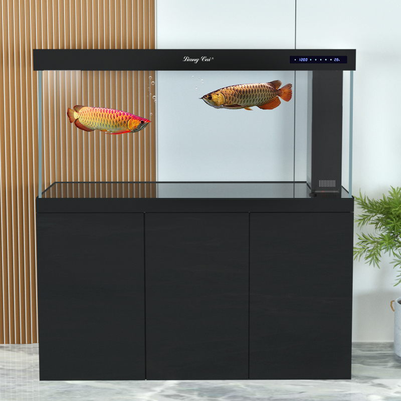 Acquario in Vetro Ultra Traspa - Marine Aquarium Live recensione e prezzo