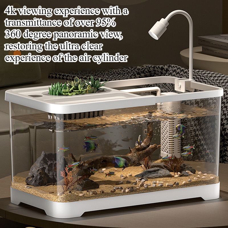 Acquario domestico da soggiorn - Marine Aquarium Live recensione e prezzo
