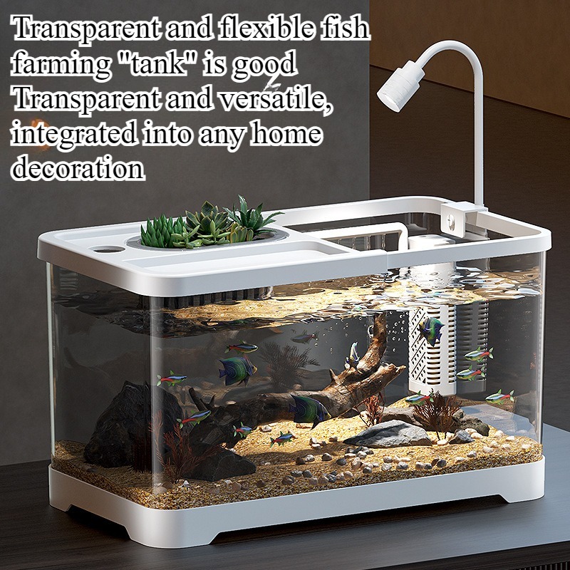 Acquario domestico da soggiorn - Marine Aquarium Live recensione e prezzo