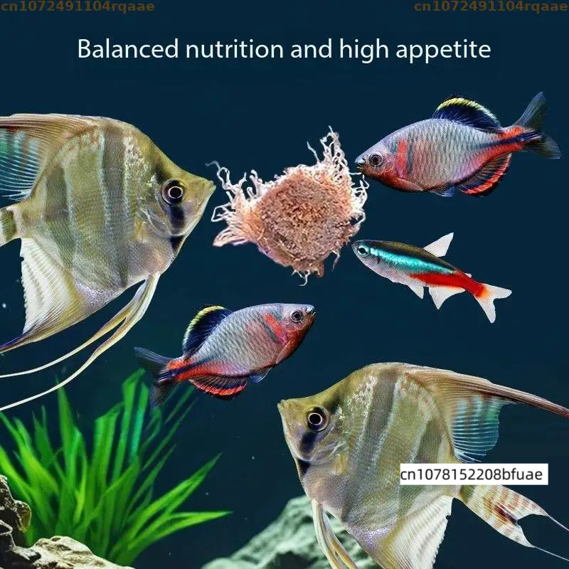 Ricarica per Mangiatoia per Pe - Marine Aquarium Cube recensione e prezzo
