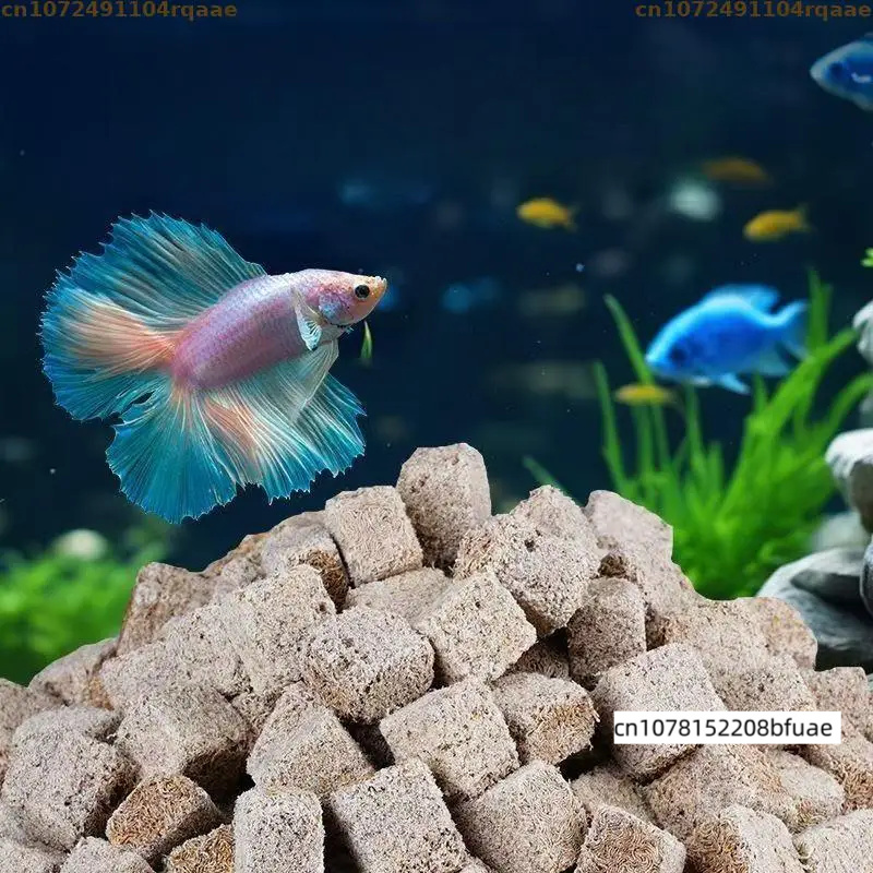 Ricarica per Mangiatoia per Pe - Marine Aquarium Cube recensione e prezzo