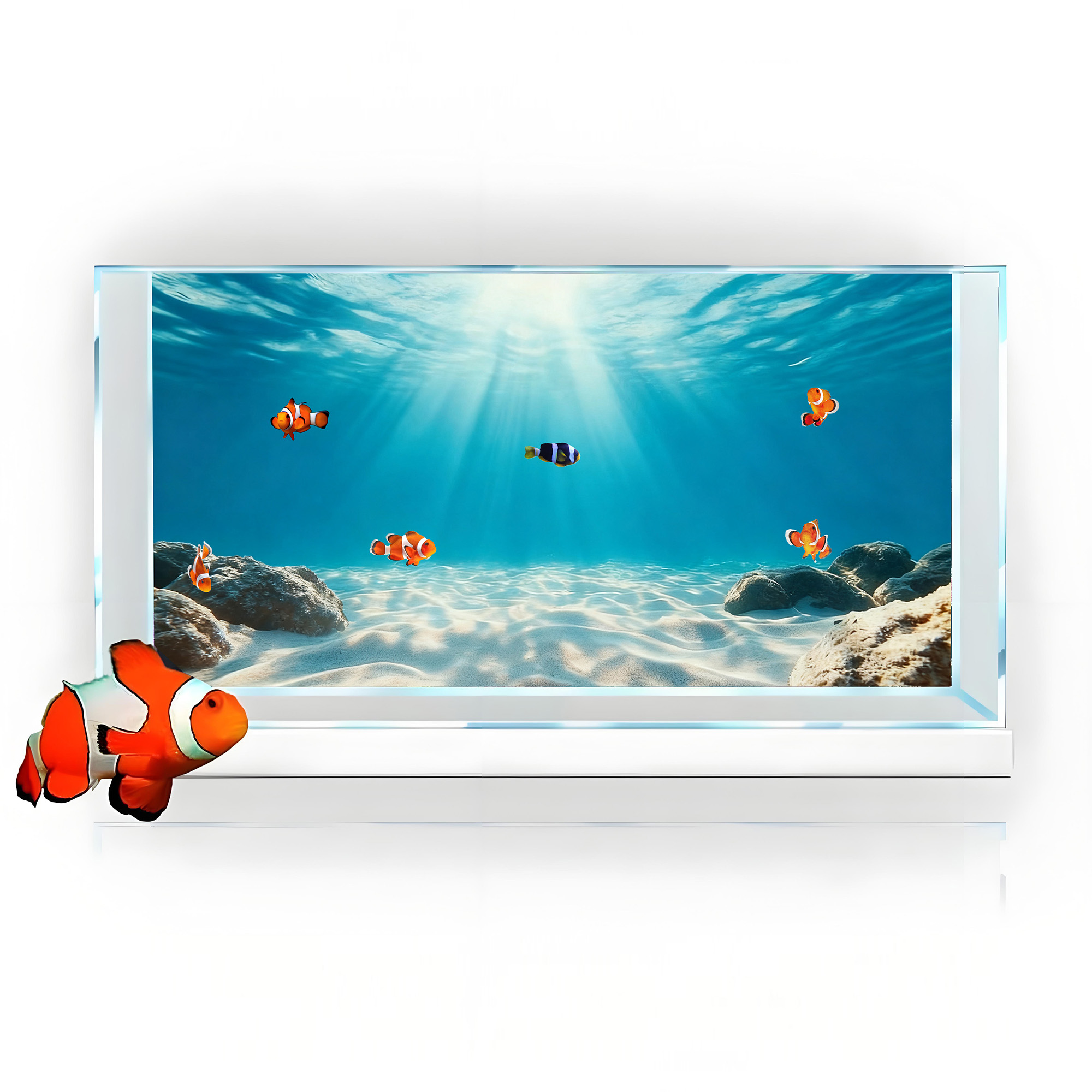 Sabbia Blu Trasparente, Decora - Marine Aquarium Glue recensione e prezzo