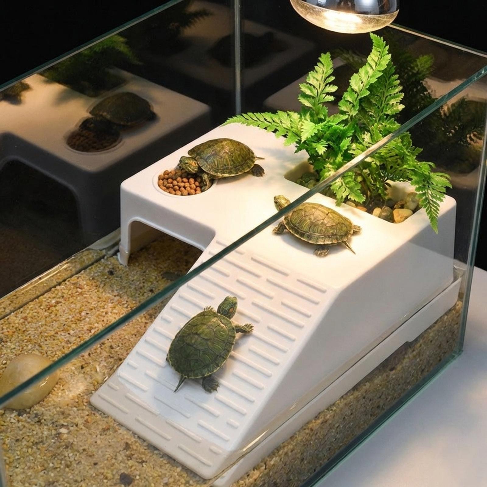 Piattaforma di Riposo per Tart - Aquarium Innovative Marine recensione e prezzo
