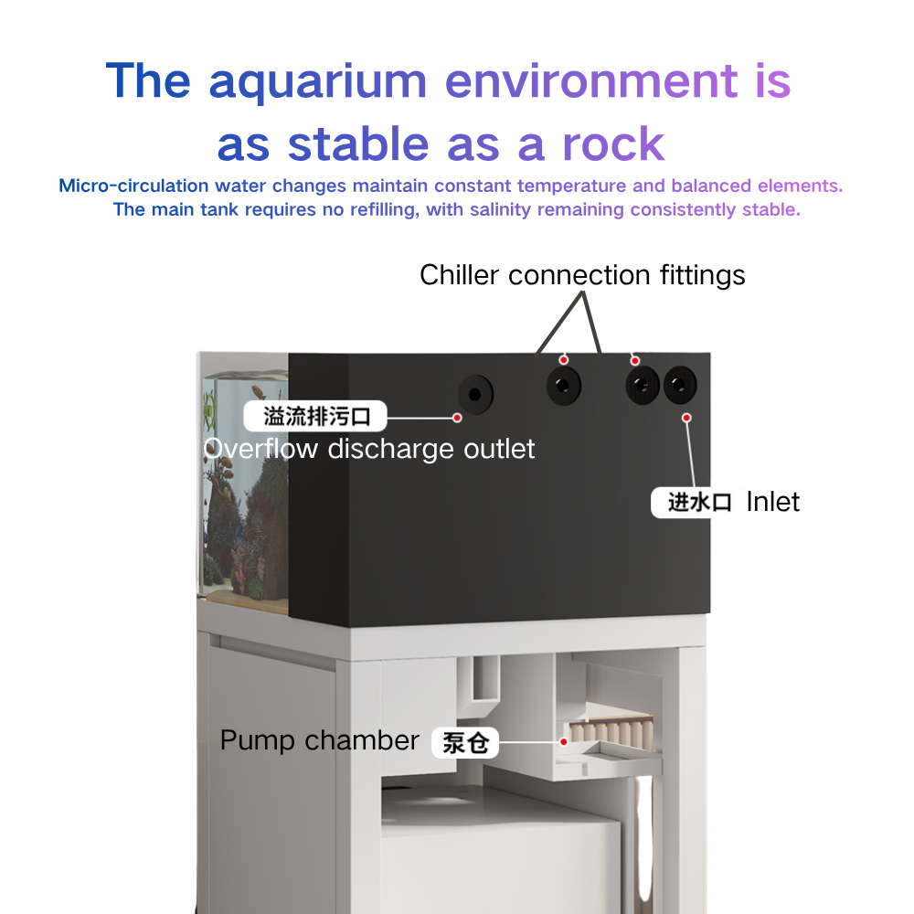 Acquario Intelligente con Camb - Marine Aquarium Cube recensione e prezzo