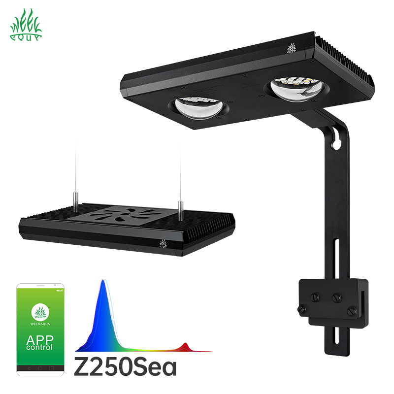 Lampada LED per Acquario Week  - Aqua Marine Tank recensione e prezzo