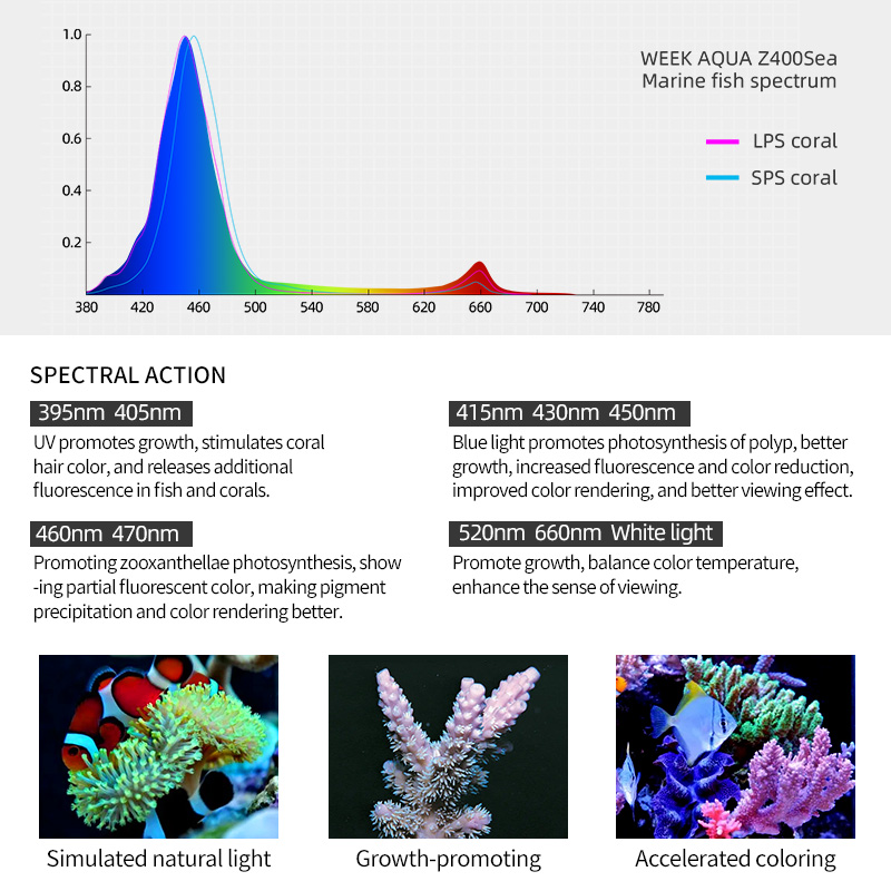 Lampada LED per Acquario Week  - Aqua Marine Tank recensione e prezzo