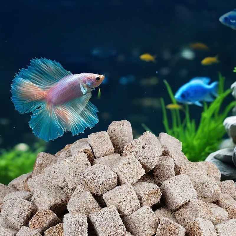 Verme di sangue liofilizzate n - Marine Aquarium Cube recensione e prezzo