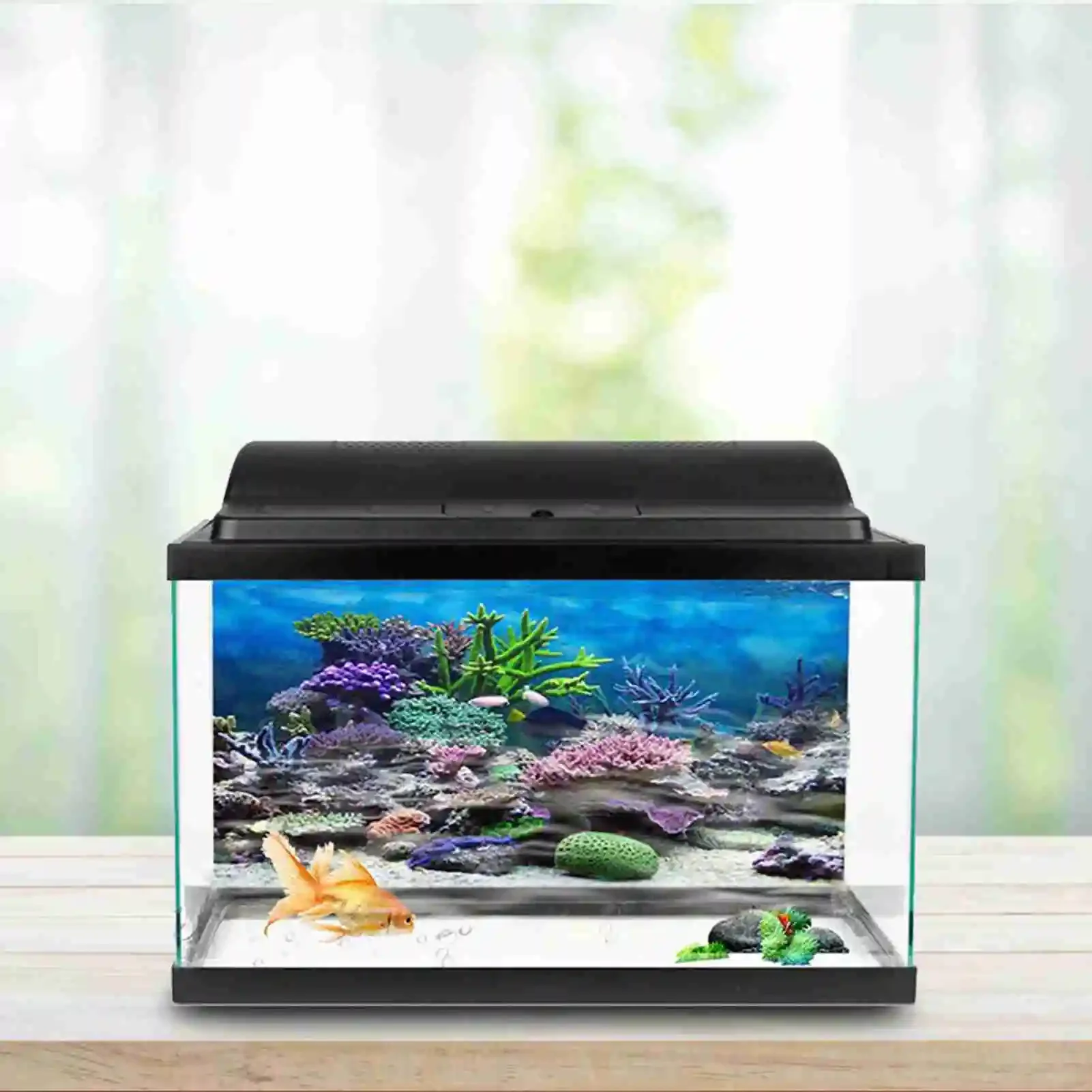 3D acquario paesaggio Poster f - Marine Aquarium Glue recensione e prezzo