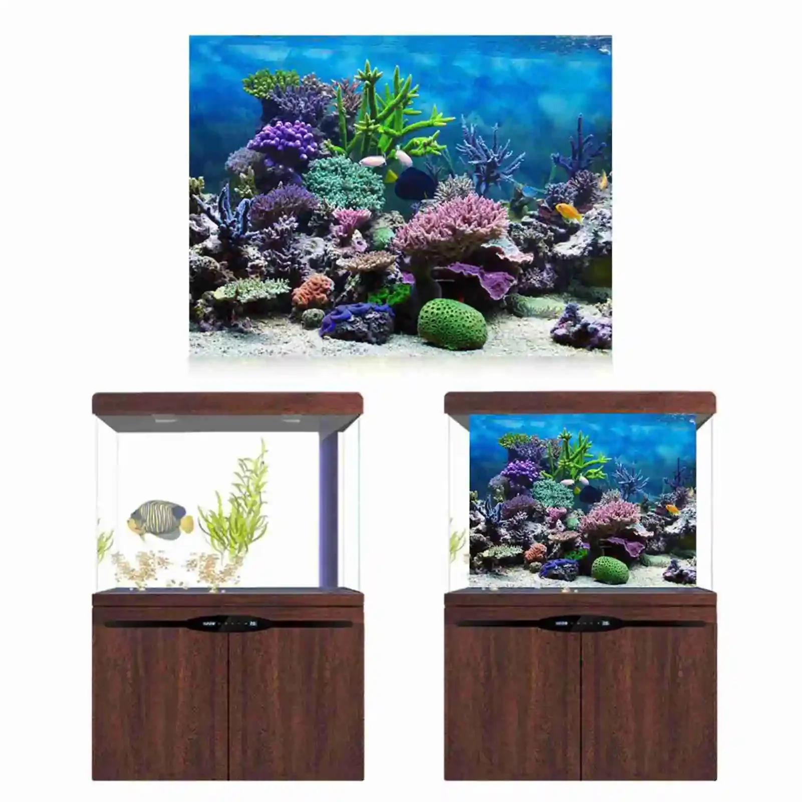 3D acquario paesaggio Poster f - Marine Aquarium Glue recensione e prezzo