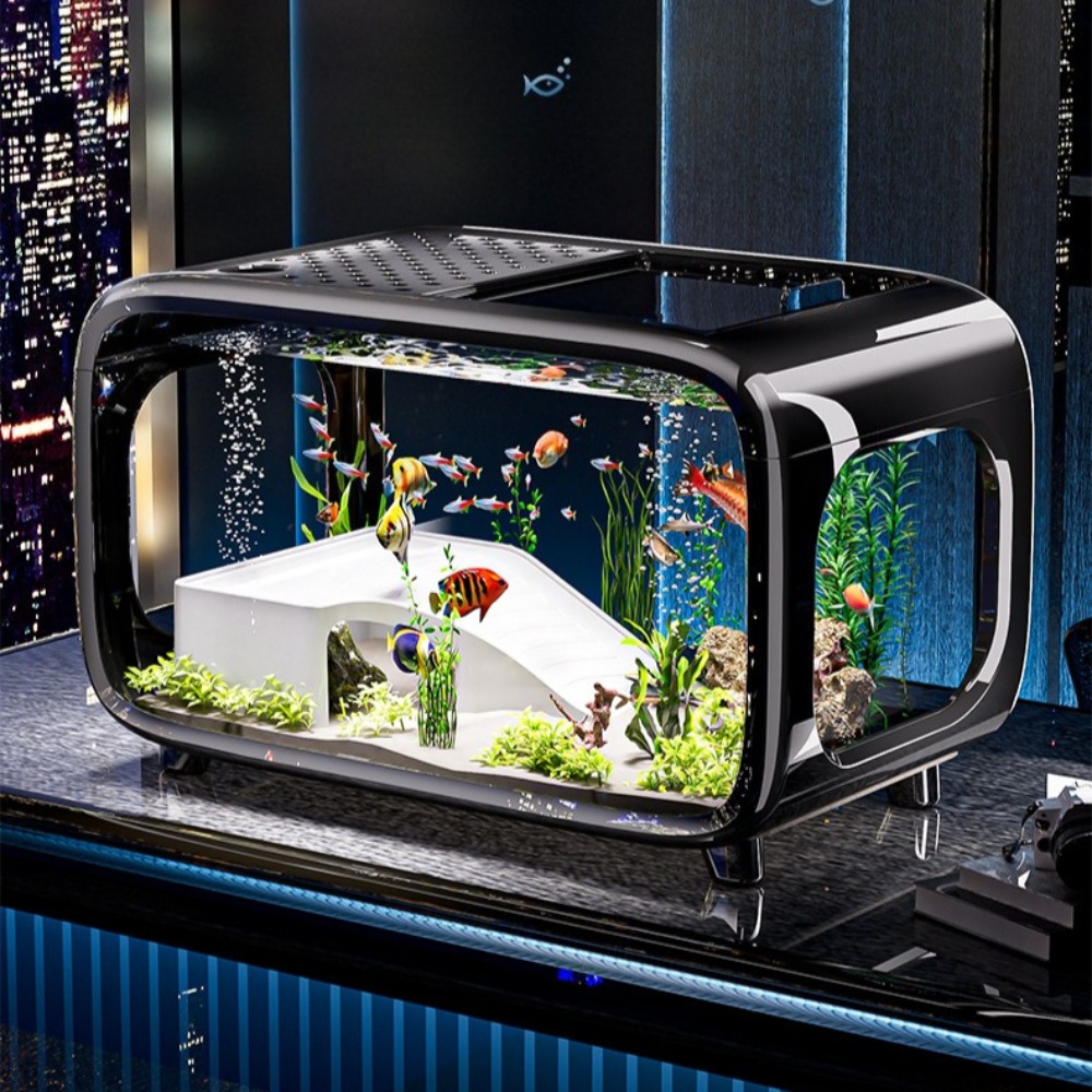 Acquario di lusso trasparente  - Marine Aquarium Live recensione e prezzo