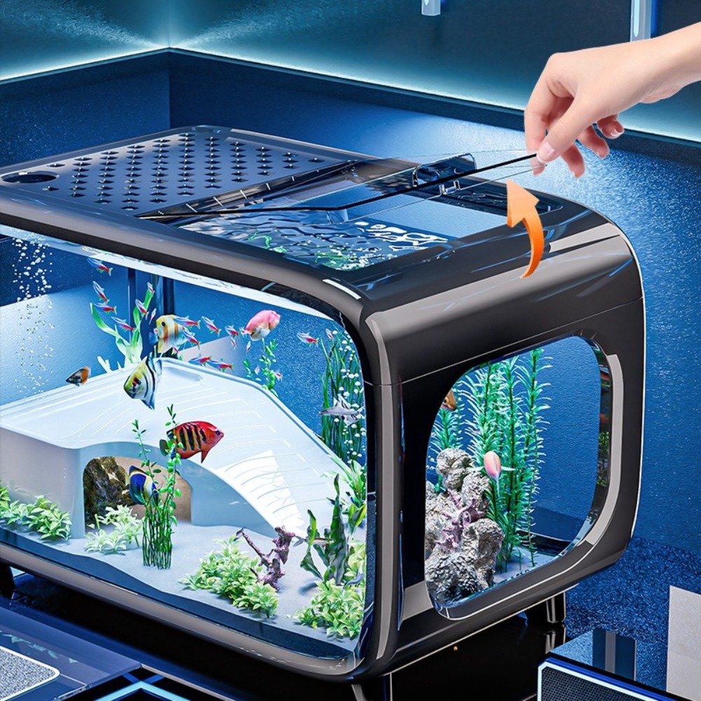 Acquario di lusso trasparente  - Marine Aquarium Live recensione e prezzo