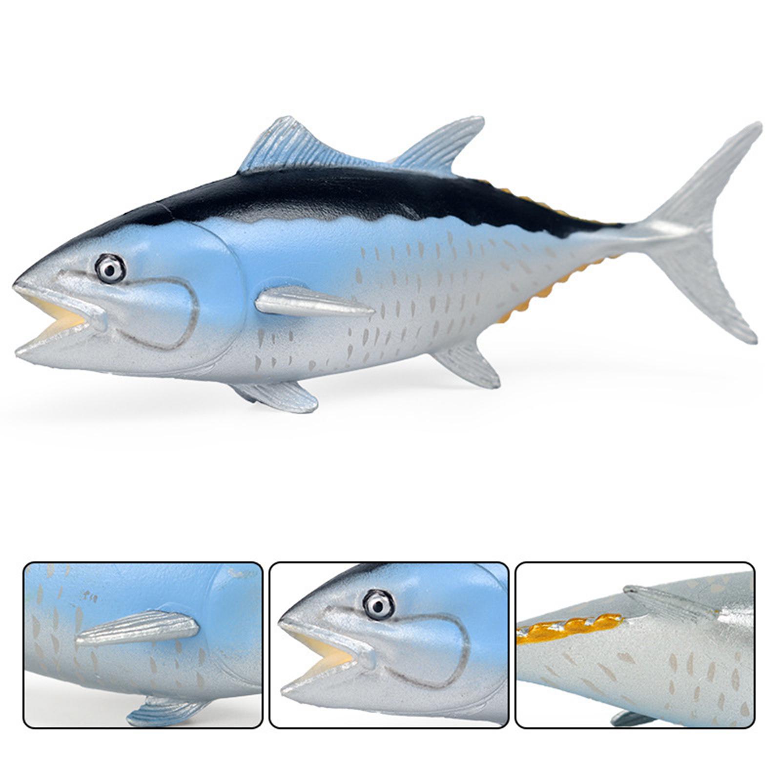 Modelli di Animali Marini Real - Marine Zoo recensione e prezzo