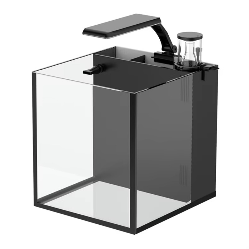Acquario da Tavolo Curvo per P - Marine Aquarium Live recensione e prezzo
