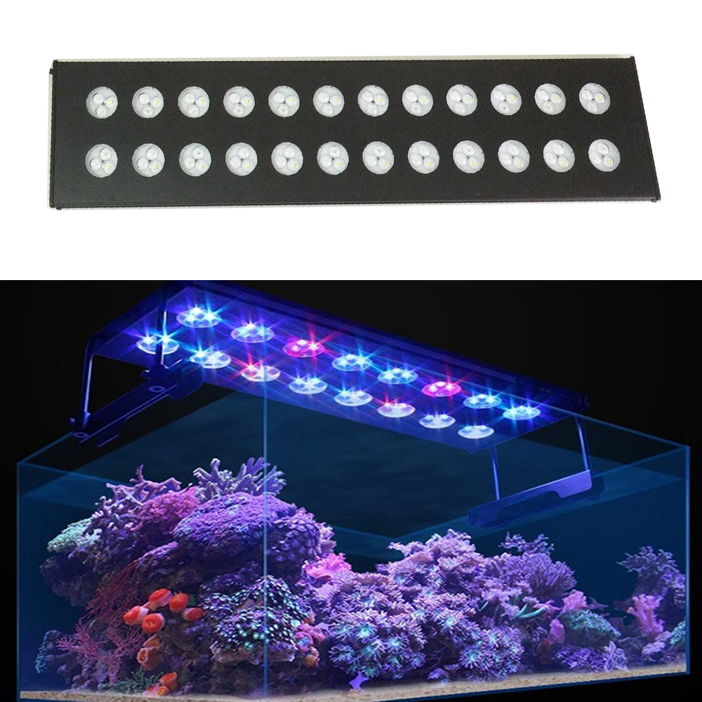 Spectra Aqua Helios Programma  - Aqua Marine Tank recensione e prezzo